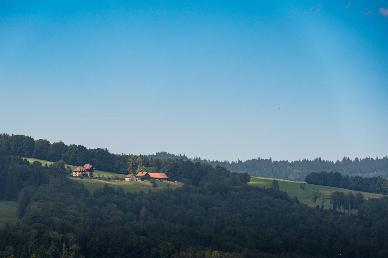 Hotel D Bulle - La Gruyère Esterno foto