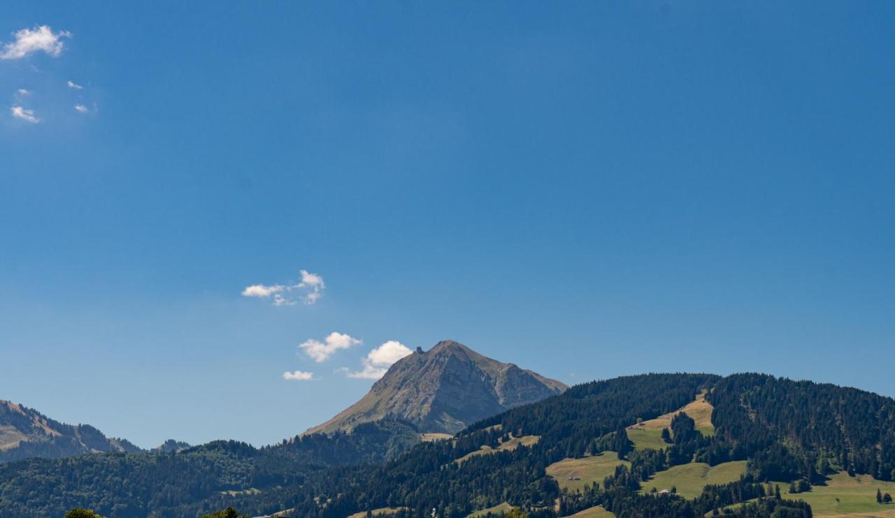 Hotel D Bulle - La Gruyère Esterno foto